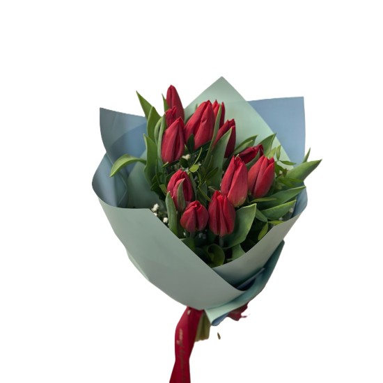 Buchet de 13 lalele 1 fir gipsofila, 2 fire pistacia, folie decor